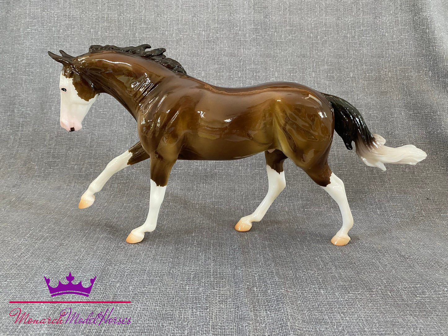 7 Arts Surprise (Glossy Splash) - Australian Stock Horse