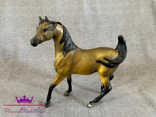 Arabian Stallion - Sham mold