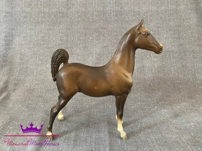 Saddlebred Weanling