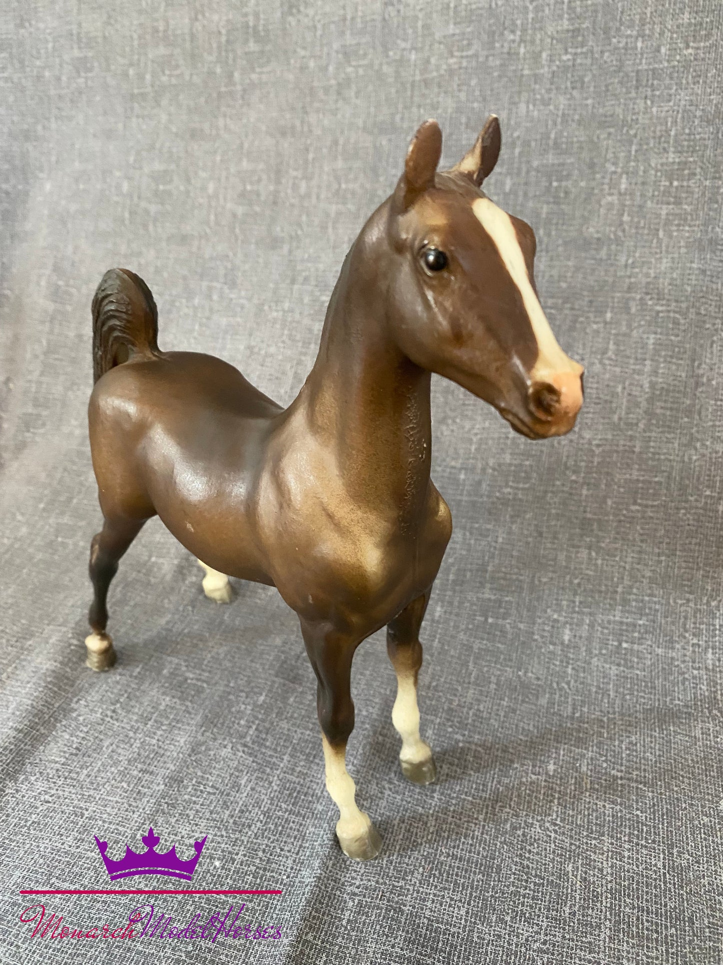 Saddlebred Weanling