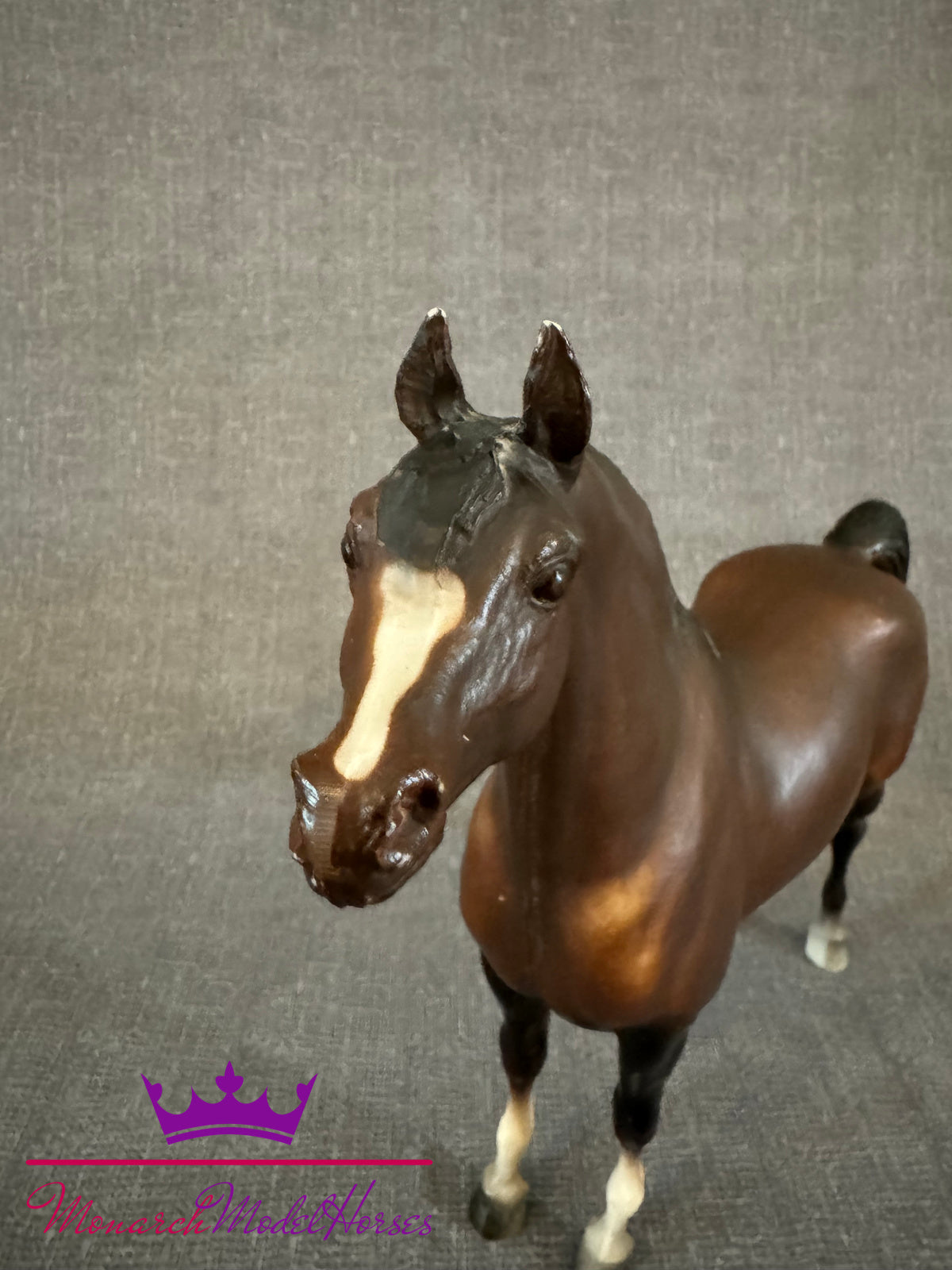 Witez - Proud Arabian Stallion DARK!