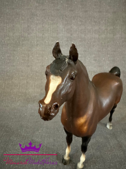 Witez - Proud Arabian Stallion DARK!