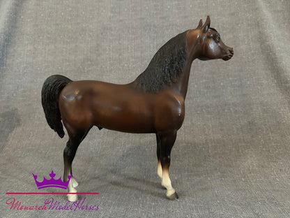 Witez - Proud Arabian Stallion DARK!