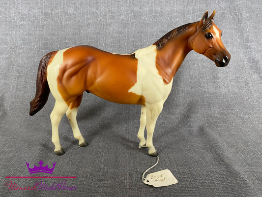 Bright Angel - Ideal Stock Horse