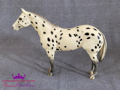 Family Appaloosa Mare - Lady Phase