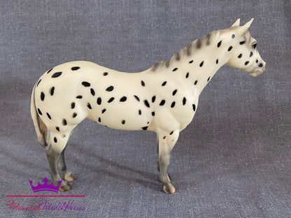 Family Appaloosa Mare - Lady Phase