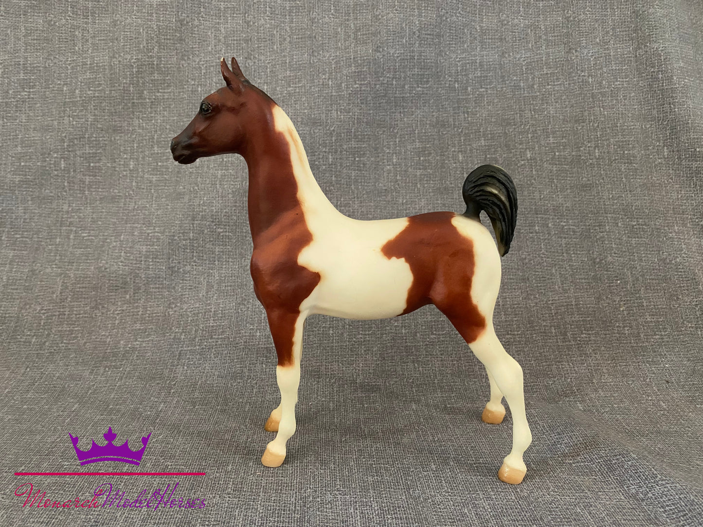 Future Champion - Saddlebred Weanling