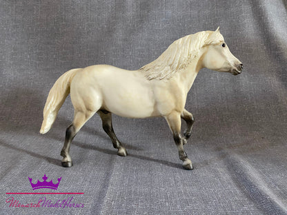 Highland Pony - Haflinger mold