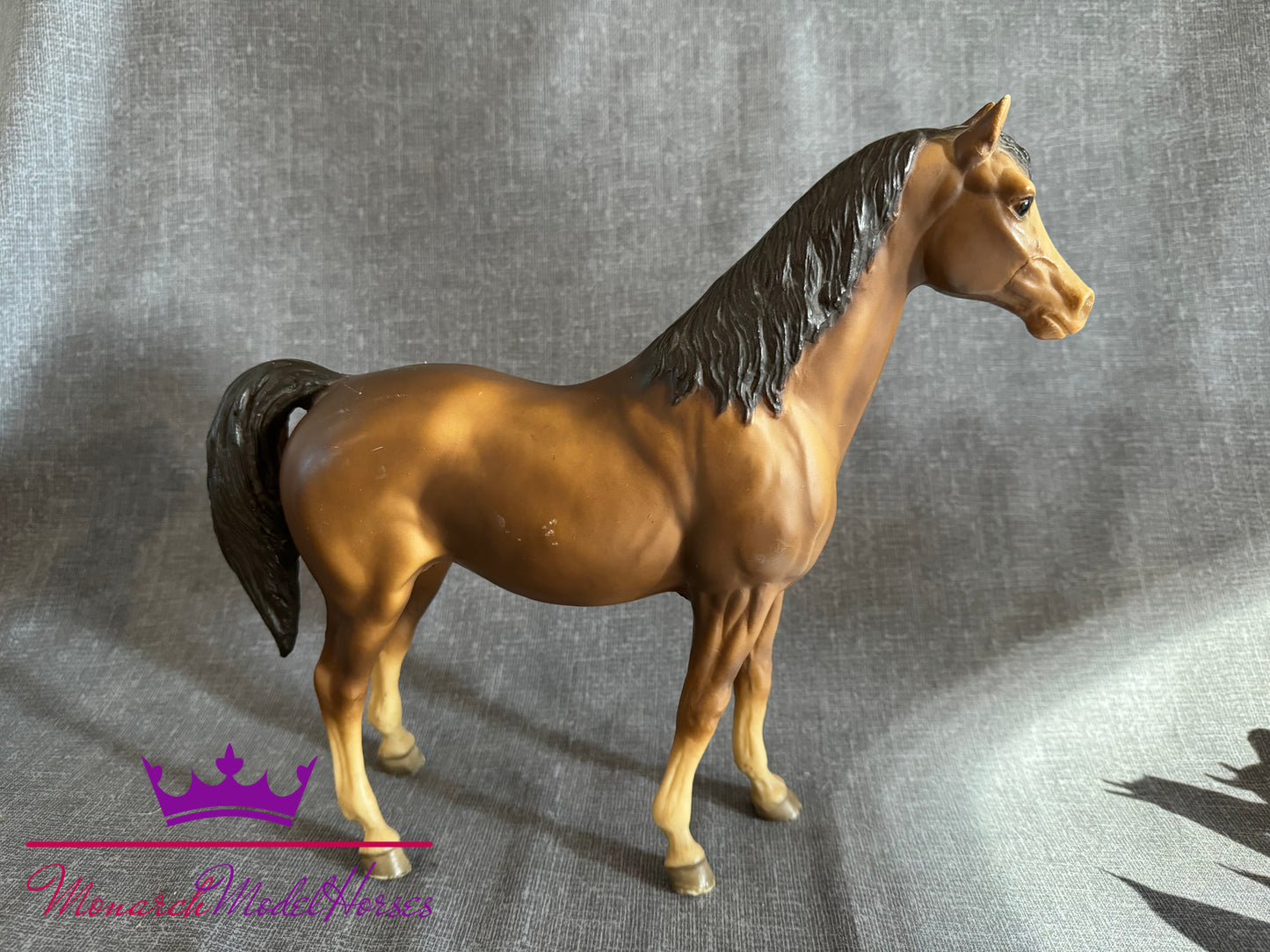 "5 Gaiter Sorrel" Family Arabian Mare