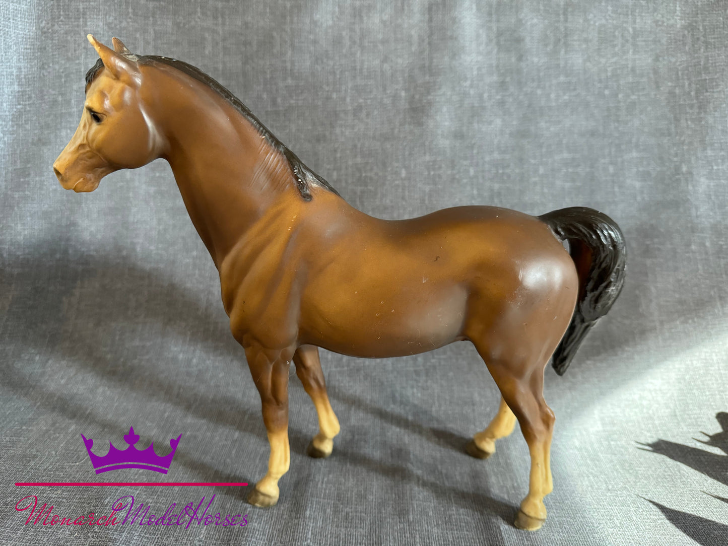 "5 Gaiter Sorrel" Family Arabian Mare