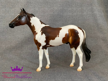 American Paint Horse - Geronimo