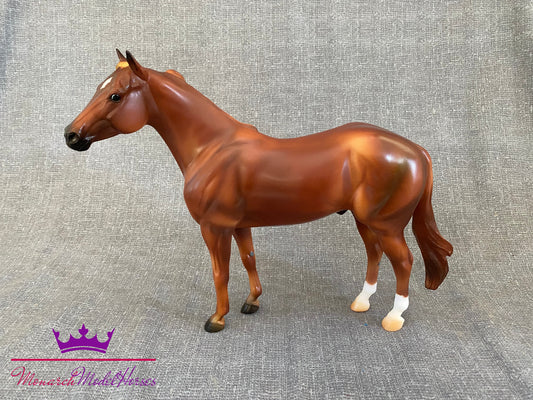 American Quarter Horse - Geronimo