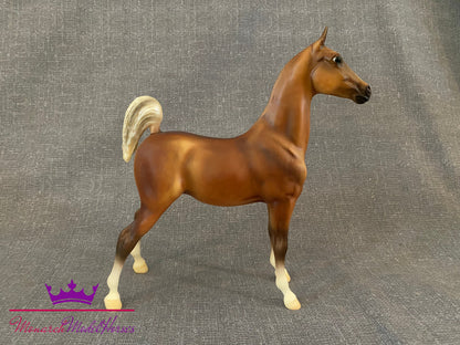 JCP Weanling - Saddlebred Weanling