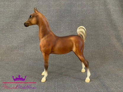 JCP Weanling - Saddlebred Weanling