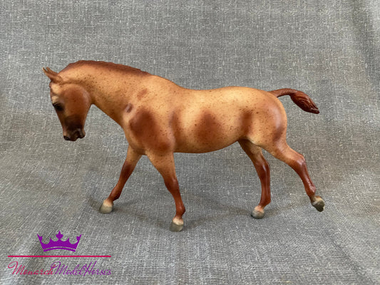 Plain Pixie - Cantering Welsh Pony