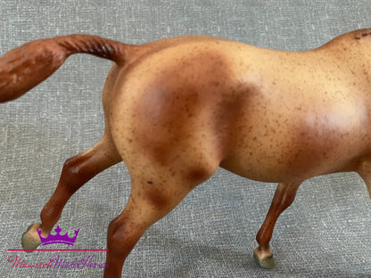 Plain Pixie - Cantering Welsh Pony