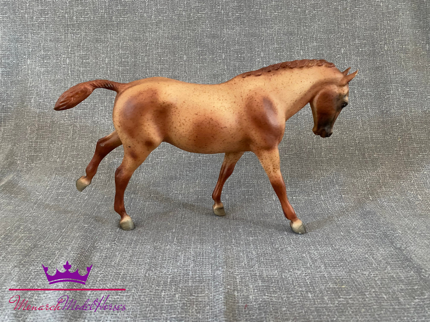 Plain Pixie - Cantering Welsh Pony