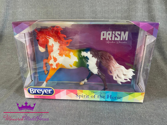 Prism - Andalusian Stallion