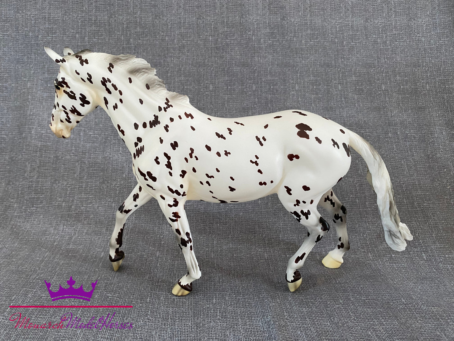 Slainte Surprise (Matte Appaloosa) - Giselle