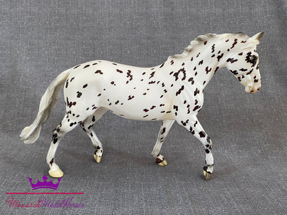 Slainte Surprise (Matte Appaloosa) - Giselle