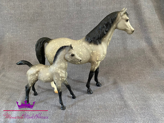 Spirit of the Wind - Family Arabian Mare & Foal